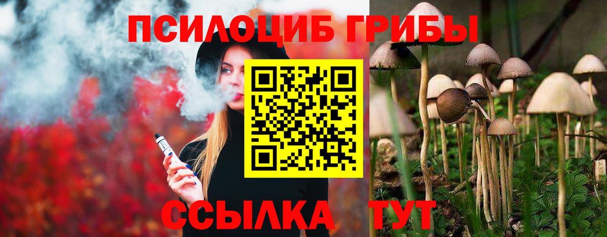 Псилоцибиновые грибы MAGIC MUSHROOMS Касимов
