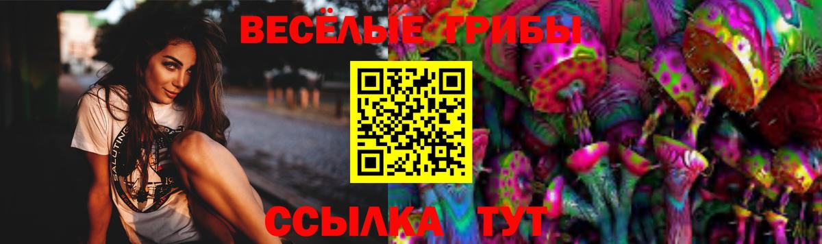 Псилоцибиновые грибы GOLDEN TEACHER  Вход с VPN  Касимов 